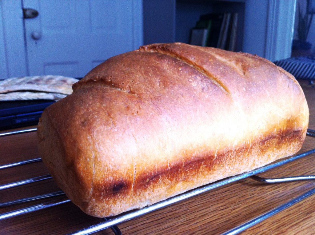 first loaf of sourdough sandwich bread