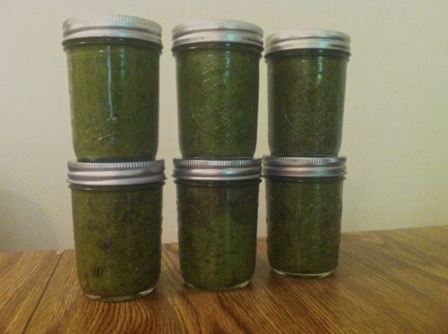 pesto