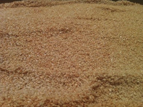 sesame